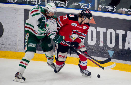 Hampus Lindholm, Rögle, Pathrik Westerholm, Malmö