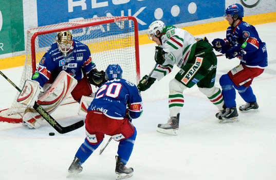 Andree Brendheden, Rögle