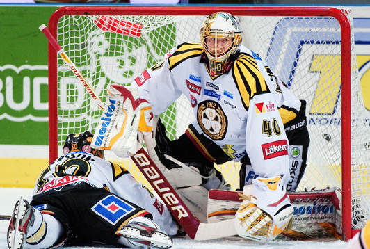 Johan Holmqvist, målvakt, Brynäs