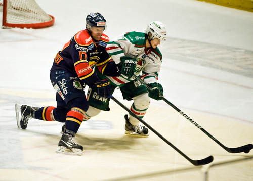 Mathias Tjärnqvist, Djurgården och Alexander Bonsaksen,