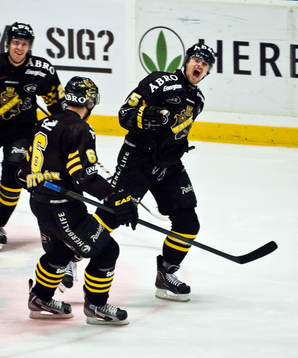 Johannes Salmonsson, AIK