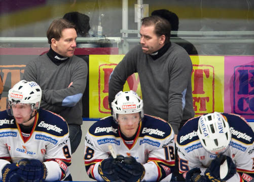Challe Berglund, tränare, Djurgården