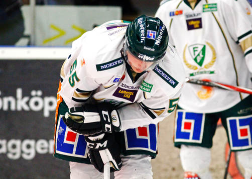 Martin Sevc, Färjestad, skada