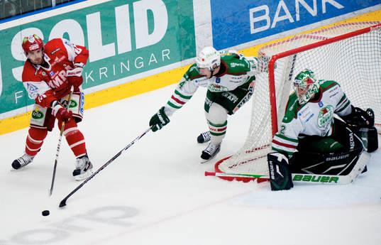 Damien Fleury, Timrå