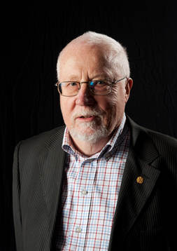 Roger Gottfridsson, jounalist