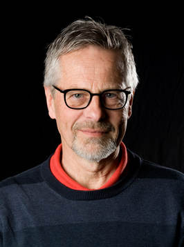 Björn Hedman, journalist