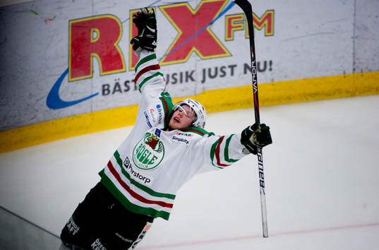 Alexander Johansson, Rögle jubel