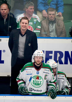 Dan Tangnes, Rögle. Tränare