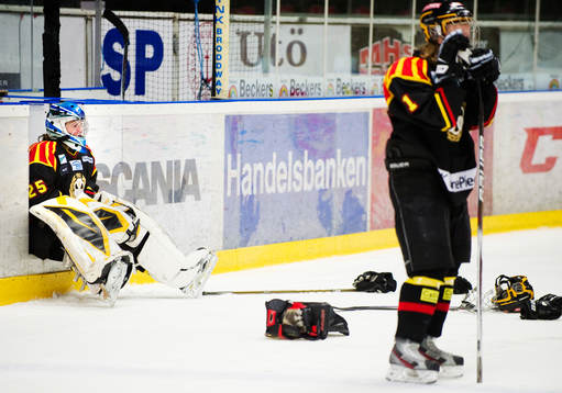 Sara Grahn, målvakt, Brynäs, deppar