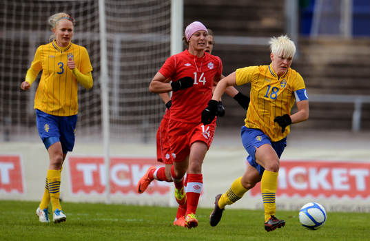 Nilla Fischer, Sverige