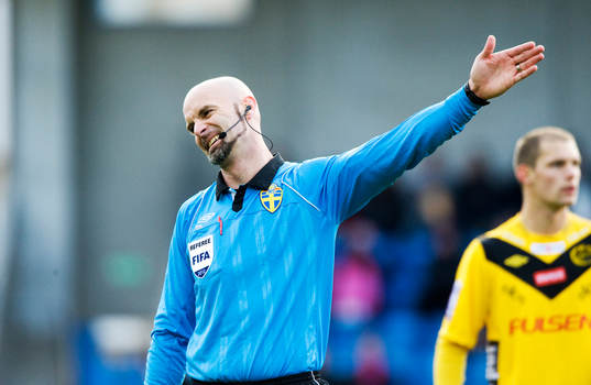 Stefan Johannesson, domare