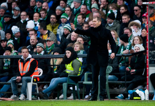 Gregg Berhalter, tränare
