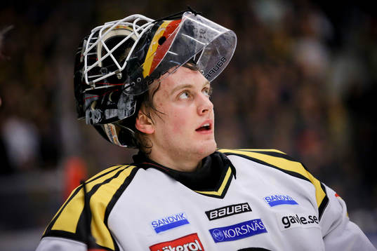 Niklas Svedberg, målvakt Brynäs