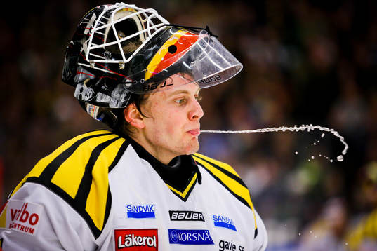 Niklas Svedberg, målvakt, Brynäs
