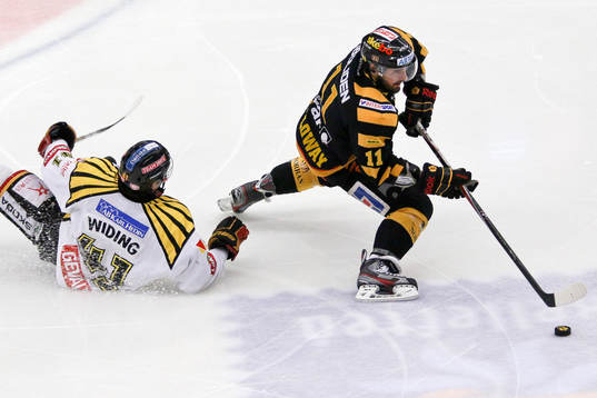 Daniel Widing, Brynäs, Bud Holloway, Skellefteå