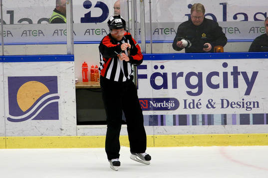 Ulf Rönnmark, domare