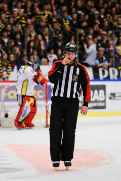 Ulf Rönnmark, domare