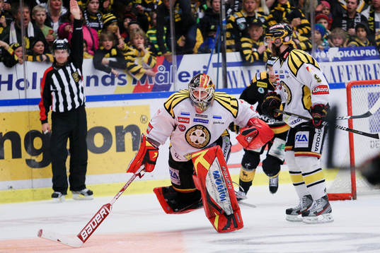 Niklas Svedberg, målvakt, Brynäs