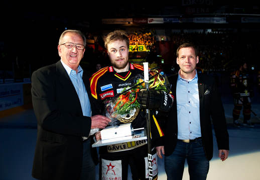 Tommy Töppel, Hockeyligan, Johan Larsson, Brynäs, Årets