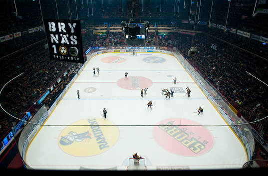 Brynäs, Svenska Mästare 2012. Översikt, interiör, rink,
