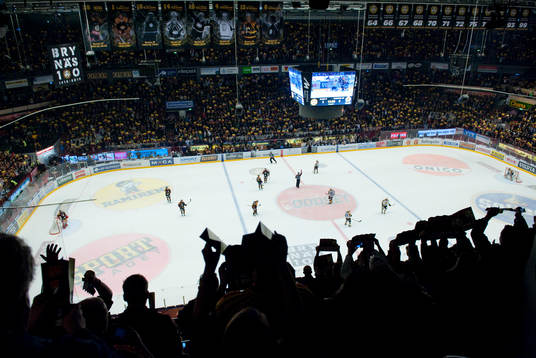 Brynäs, Svenska Mästare 2012. Översikt, interiör, rink,