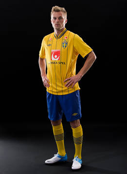 Sebastian Larsson, Sverige
