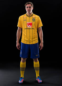 Johan Elmander, Sverige