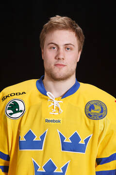 Johan Larsson of Sweden poses for a portrait