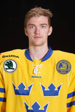 Mattias Ekholm of Sweden poses for a portrait