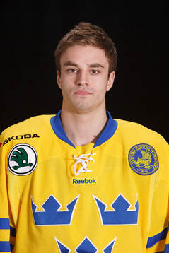 Daniel Bång of Sweden poses for a portrait