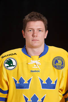 Bläddra bland fler bilder av 2012 IIHF World Championship, Sweden, Team Photo
