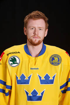 Daniel Fernholm of Sweden poses for a portrait