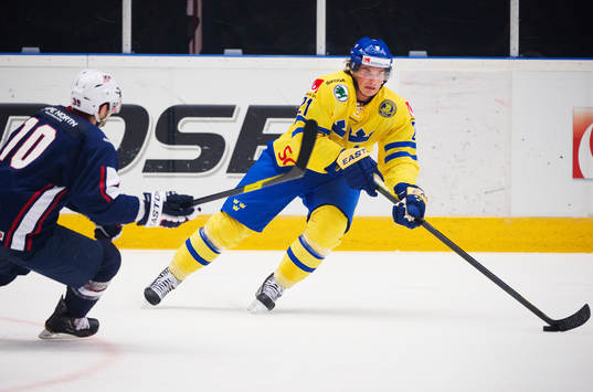 Loui Eriksson, Sverige