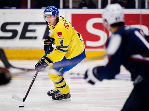 Jonas Brodin, Sverige