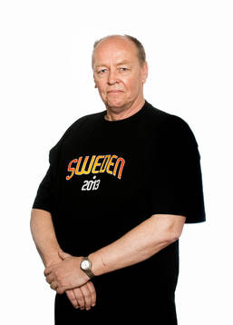 Anders Sigurdson, Säkerhetschef