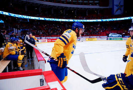 Henrik Zetterberg, Sverige