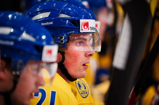 Loui Eriksson, Sverige