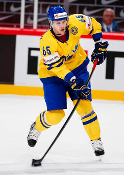 Erik Karlsson, Sverige