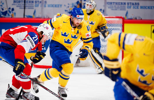 Henrik Zetterberg, Sverige
