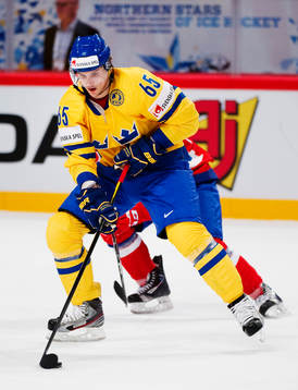 Erik Karlsson, Sverige