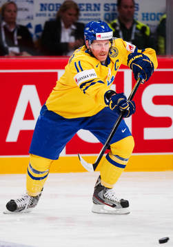 Daniel Alfredson, Sverige