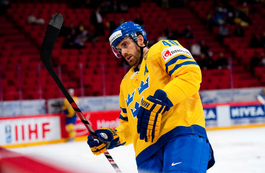 Henrik Zetterberg, Sverige