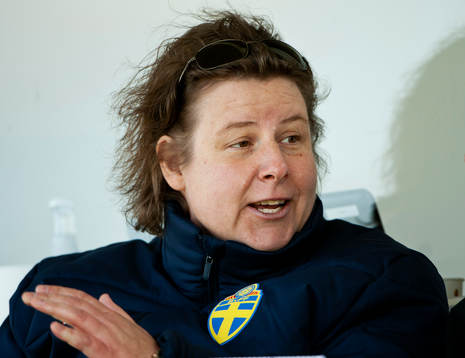 Ann-Helen Grahm, Assisterande förbundskapten