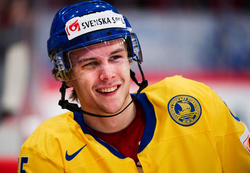 Erik Karlsson, Sverige