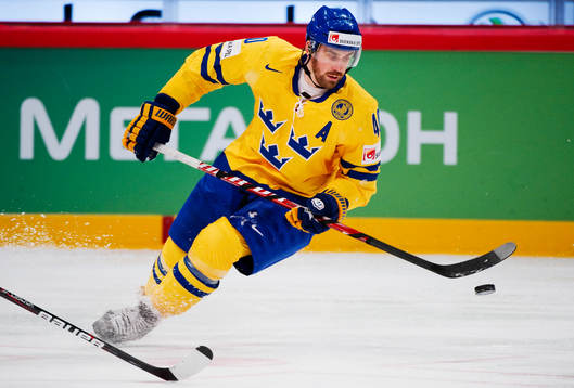 Henrik Zetterberg, Sverige
