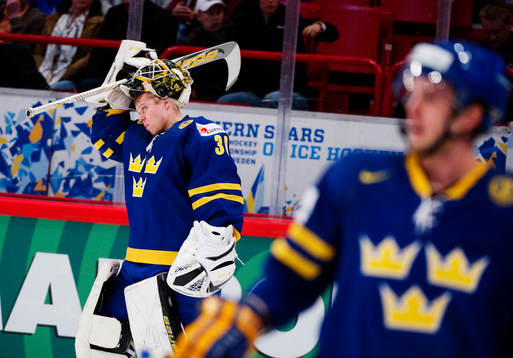Viktor Fasth, målvakt, Sverige, depp