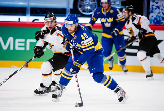 Henrik Zetterberg, Sverige