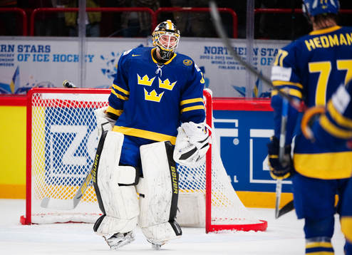 Viktor Fasth, målvakt, Sverige, är glad