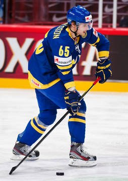 Erik Karlsson, Sverige