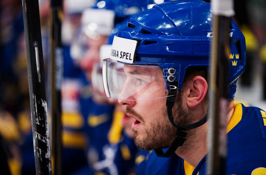 Niklas Persson, Sverige